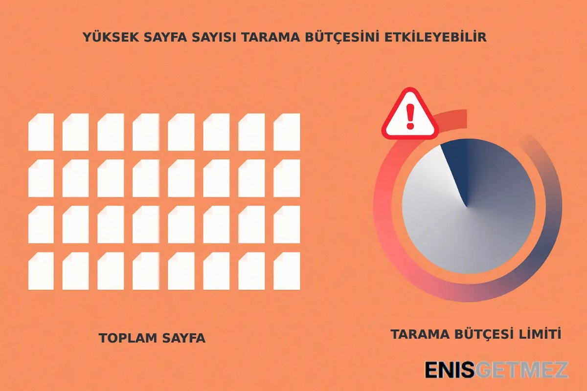 tarama bütçesi.webp